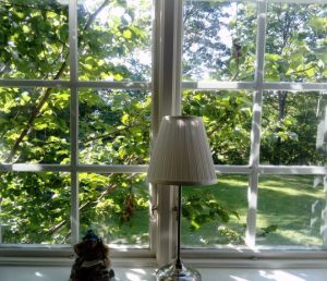 Foto av ett fönster och man ser en grönskande trädgård